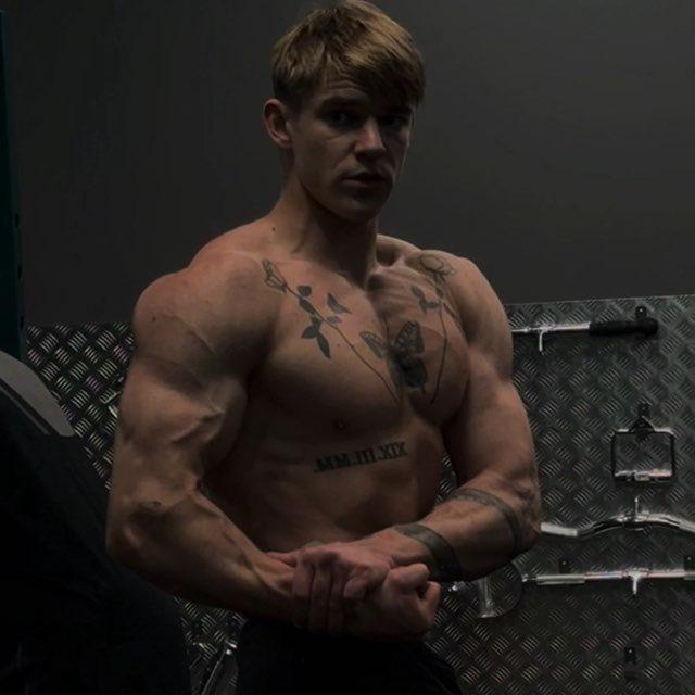Motylek Shredded 🔪🦋