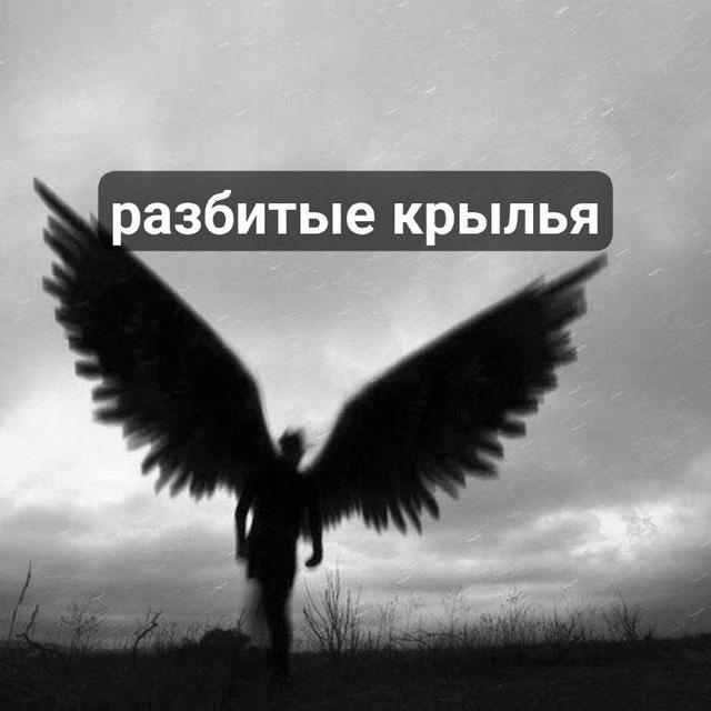 Разбитые крылья бот поддержки