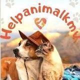 Helpanimalkmv