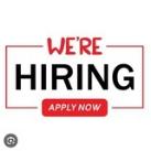 全球直招Global Recruitment 🌎 🌍 High Paying Jobs 招聘模特生活助理和员工...