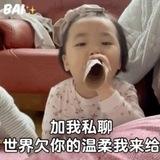 猫的后花园 （cvv版）