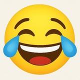Funny videos memes clips
