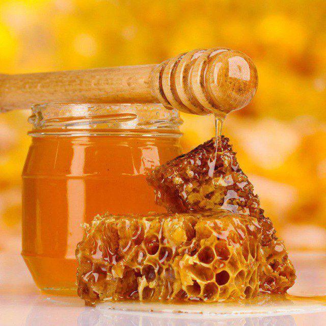 Башкирский мёд (2024-2025) 🐝
