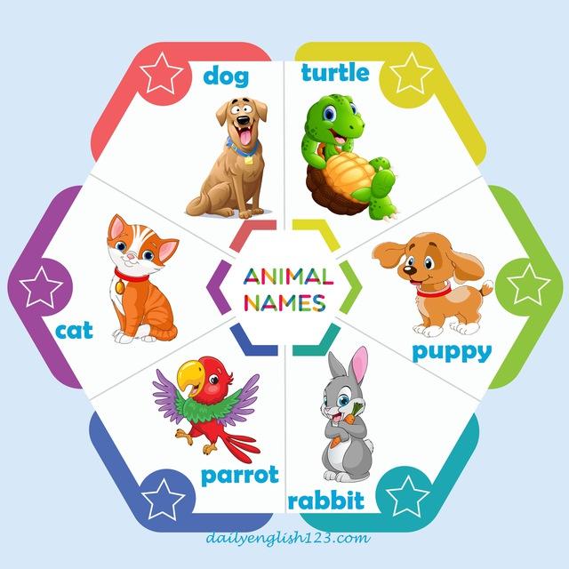 Dailyenglish123worksheets