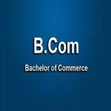 BCOM Ranichannamma University Student Guide Group