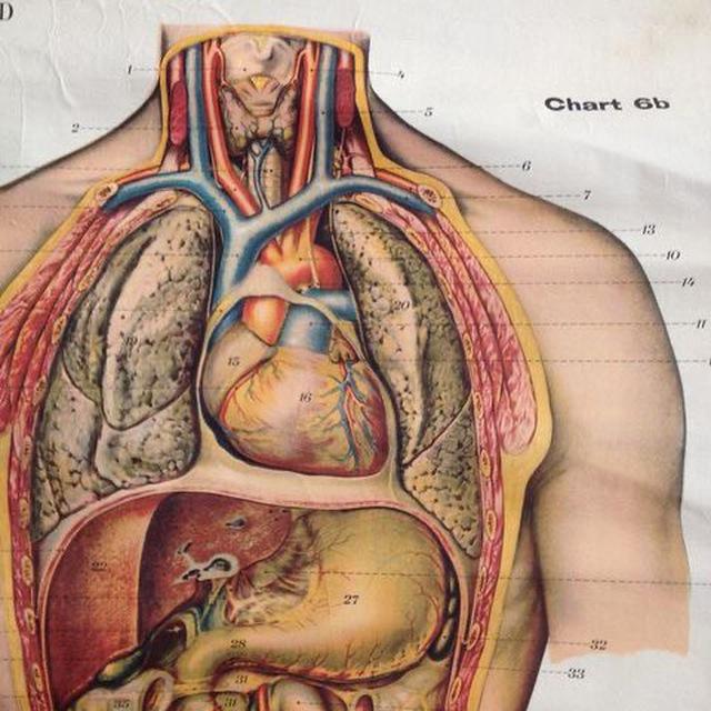 Medical Terminology