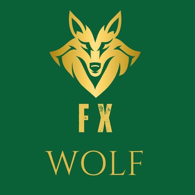 FX WOLF