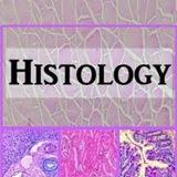 Histology