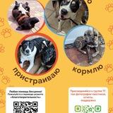 Канал Сони
