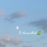 FI_Amanillah_🍃