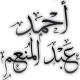 أحمد عبد المنعم