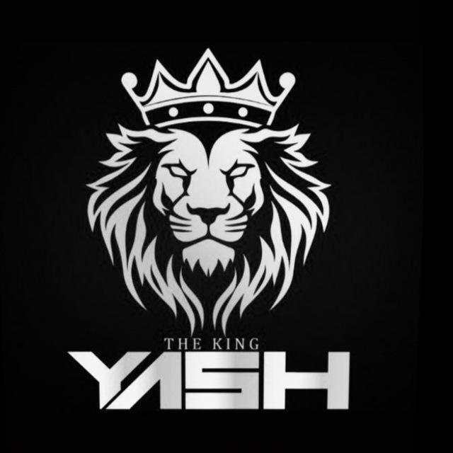 Yash Trading stock options