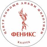 Феникс дикие животные
