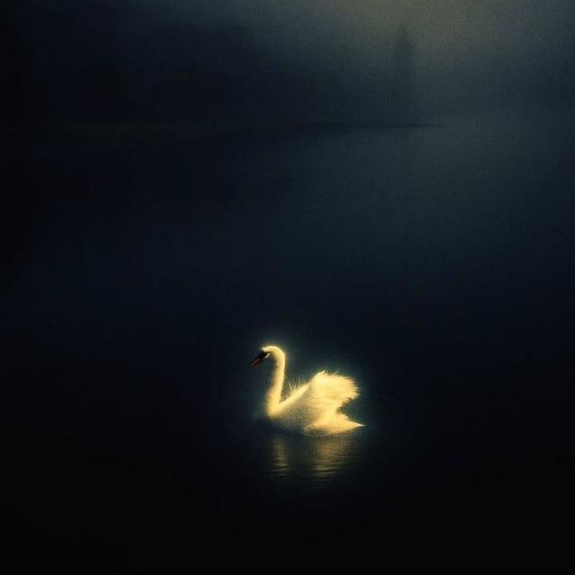 زَهْـرَة