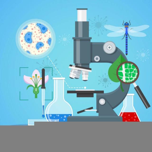 الاستاذ كرار ابراهيم (Karrar Biology)