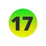 17 Лицей_stv