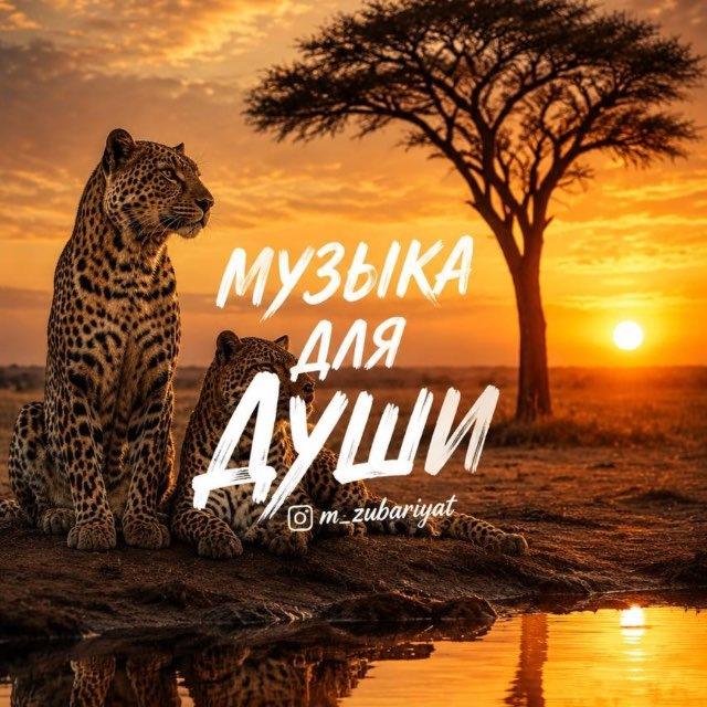 МУЗЫКА ДЛЯ ДУШИ
