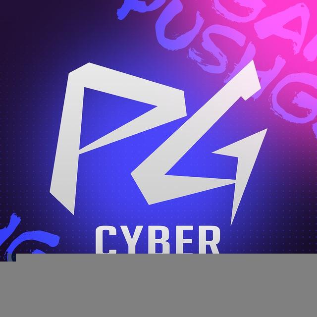PUSHGANG | Компьютерный клуб Курган