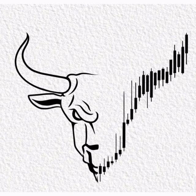 Mr. D Trader
