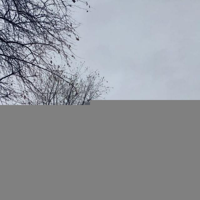 МБОУ "Малобичинская СОШ"