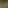 هه وار نشینان