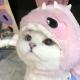 【海外抖音】Tiktok、Facebook（脸书）、ins-LiNE-友缘-Dating约会社交账户Vkontakte