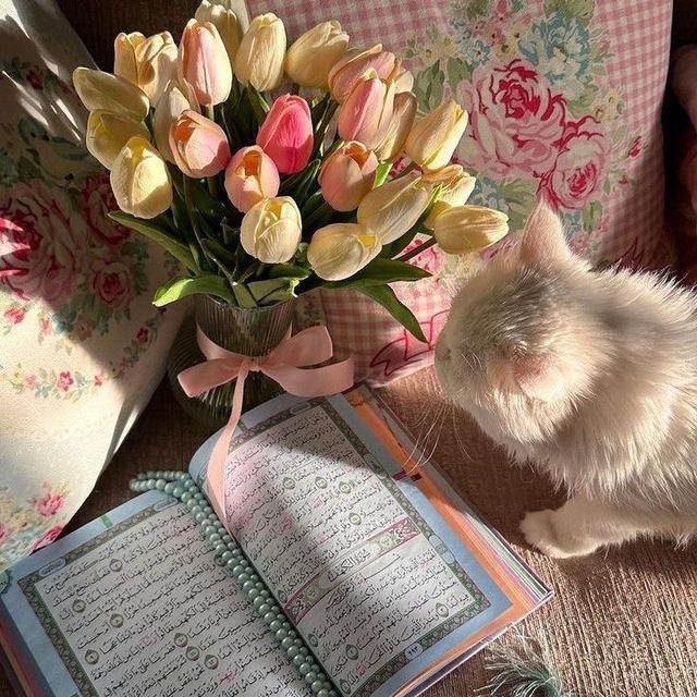 •͙✧ أثـــر بــاقِي | 𝗟𝗔𝗦𝗧𝗜𝗡𝗚 𝗜𝗠𝗣𝗔𝗖𝗧 ✧•͙