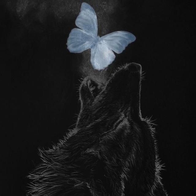 BUTTERFLY KISS