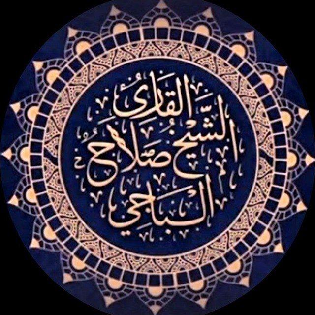 الشيخ صلاح الدين الباجي