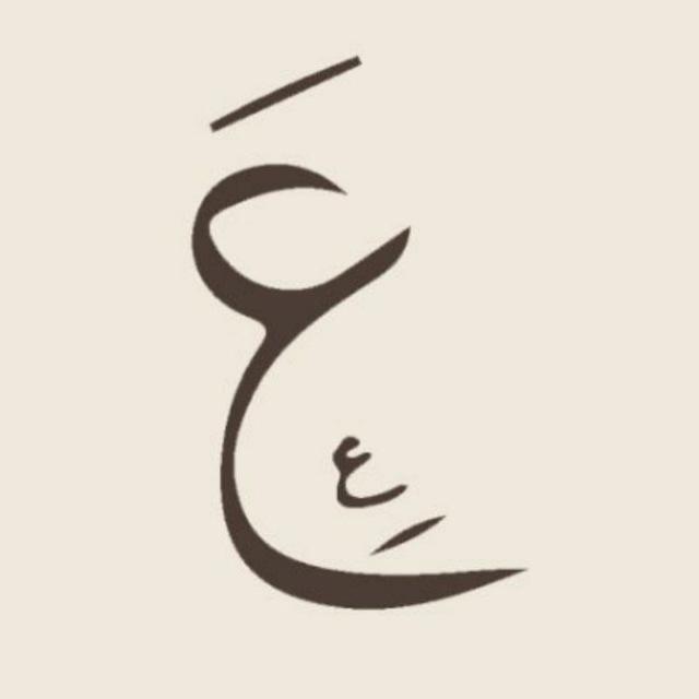 الشنكبوتية