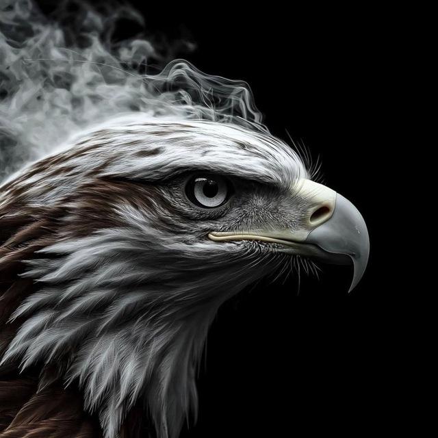 🦅هادي الصقري🦅