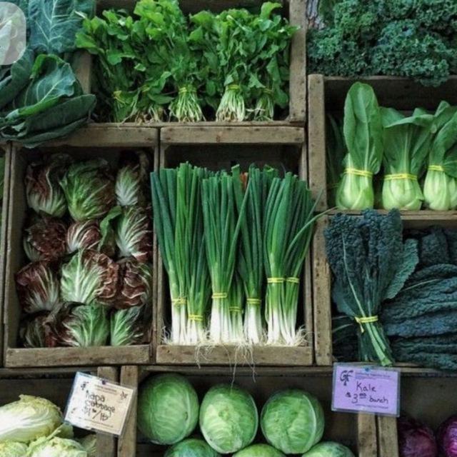 A Food Awakening 🍽