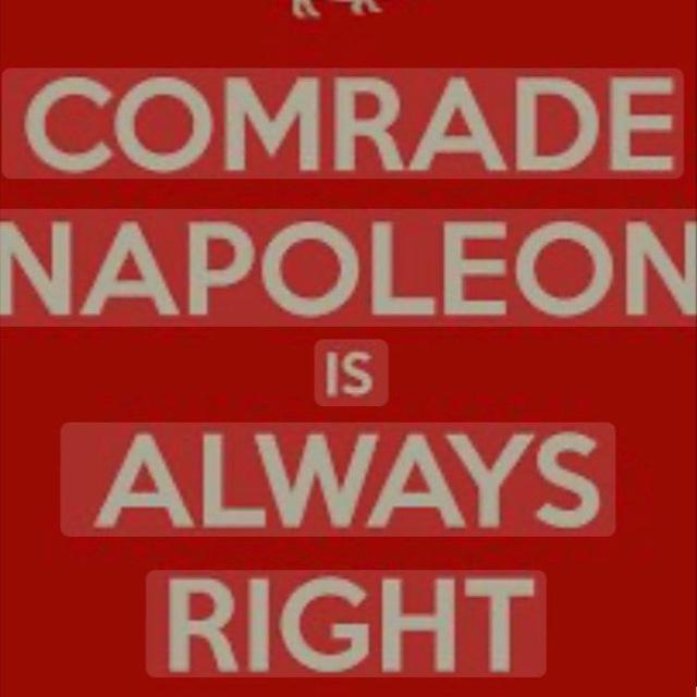 Comrade Napoleon’s Channel