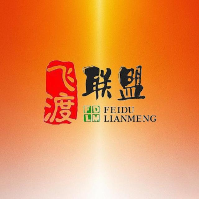 飞渡联盟《海外项目资源交流群》