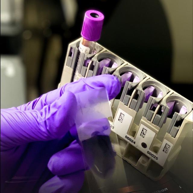 ‌‏Laboratory-𝐀𝐇𝐌𝐄𝐃