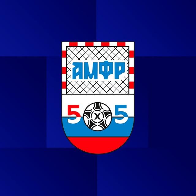 Ассоциация мини-футбола России / АМФР
