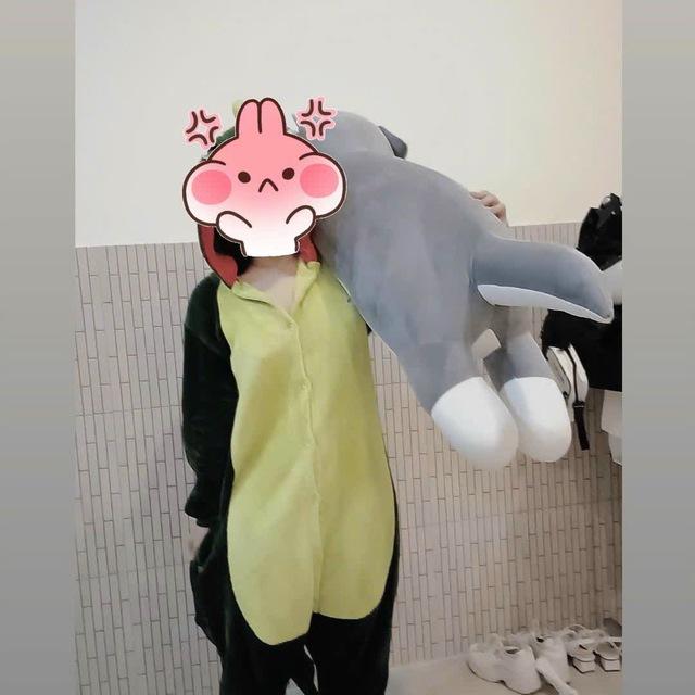 Dino và những bức ảnh 🦦