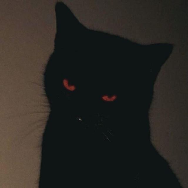 𝑲𝑨𝒀𝑲𝑶
