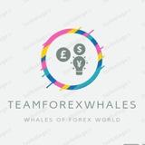 TeamKunalForexwhales