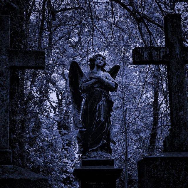 🌘Rest in peace 🌒
