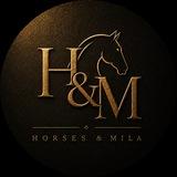 🐴horses and mila🐴