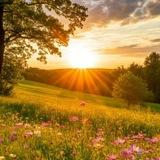 بلندی‌های آفتاب‌گیر