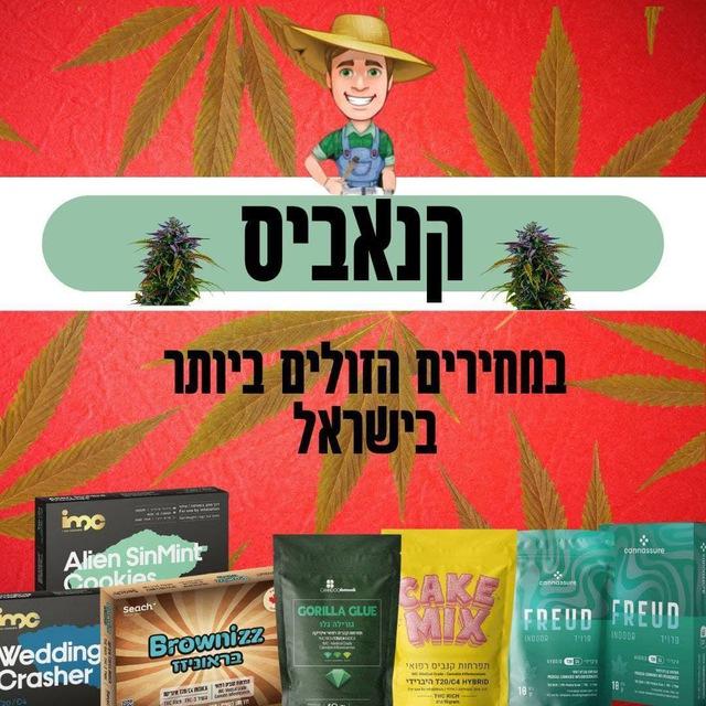 חשיש באילת חום כיוונים