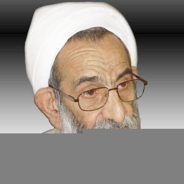 علامه محمد شجاعی (ره)