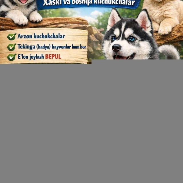 Kuchukchlar xadyga va arzonga