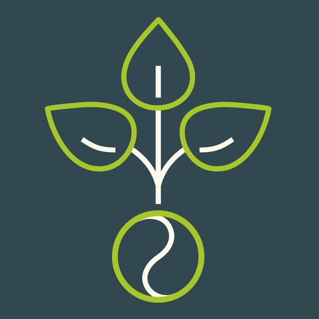 Heilstoff | Ganzheitlich gesund 🌱