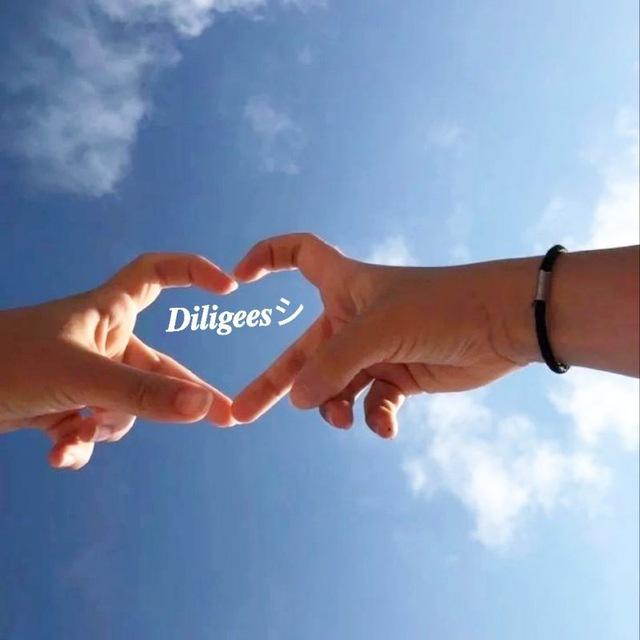 𝑫𝒊𝒍𝒊𝒈𝒆𝒆𝒔シ︎
