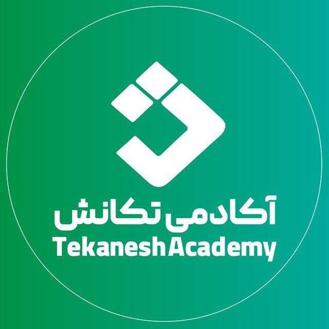آکادمی تکانش