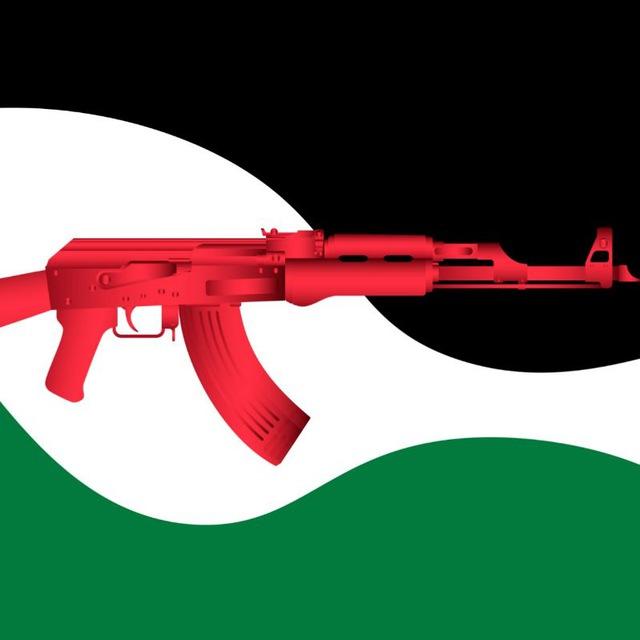 اسلحة داخل الاردن