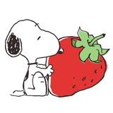 ichigOoo 🍓